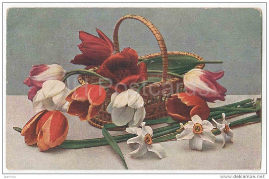 Greeting Card - White and Red Tulips in the Basket - Narcissus - flowers - Fl. 143 - circulated in Estonia 1922 - JH Postcards