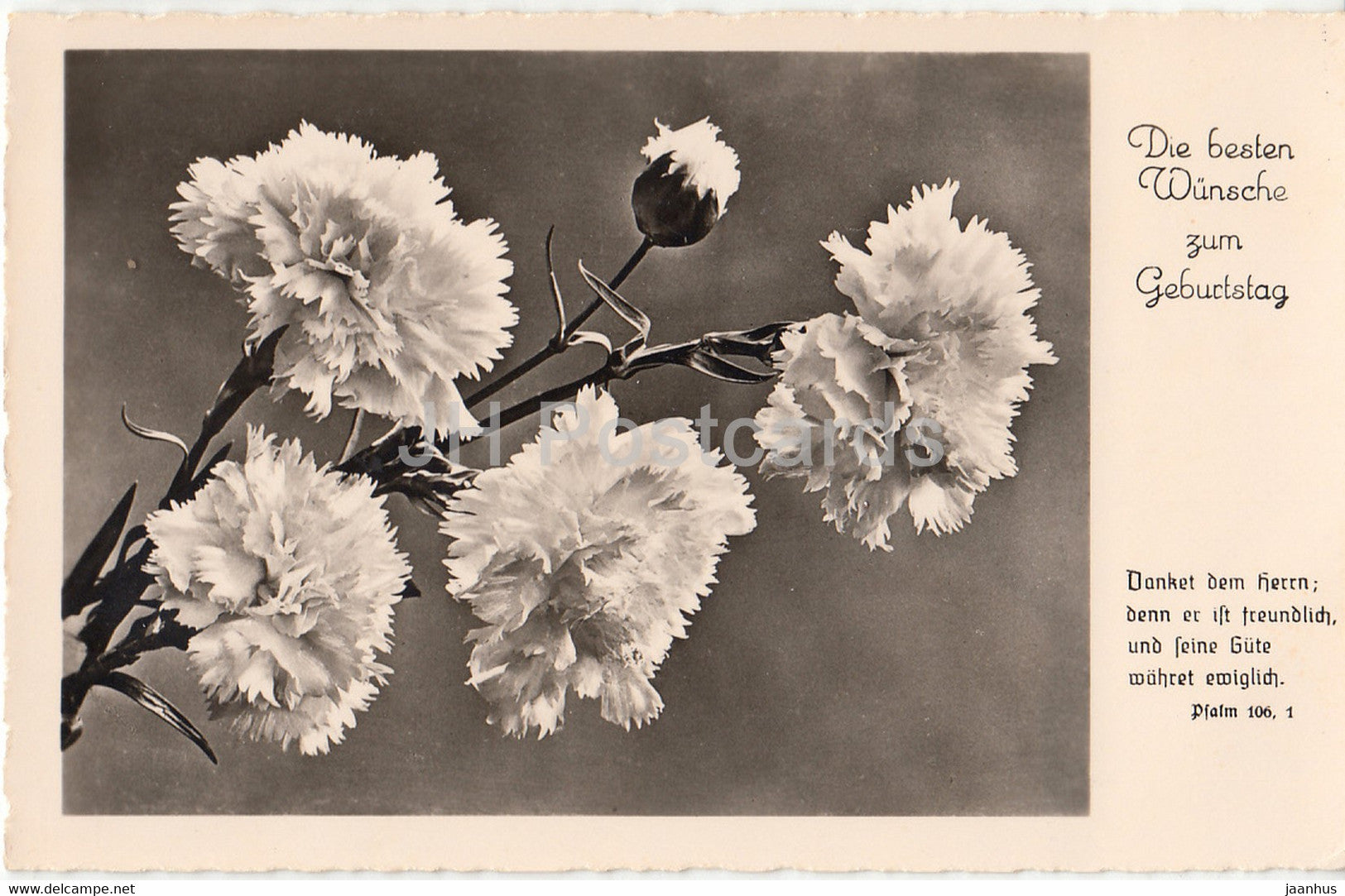 Birthday Greeting Card - Die Besten Wunsche zum Geburtstag - flowers - Amag 69164 - old postcard - Germany - used - JH Postcards