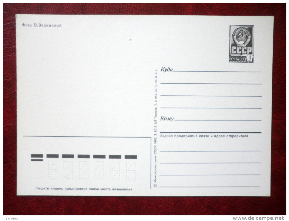 daisy , lily - 1985 - Russia USSR - unused - JH Postcards