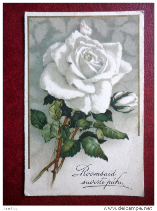 Pentecost Greeting Card - white rose - circulated in Estonia 1938 , Lelle - used - JH Postcards