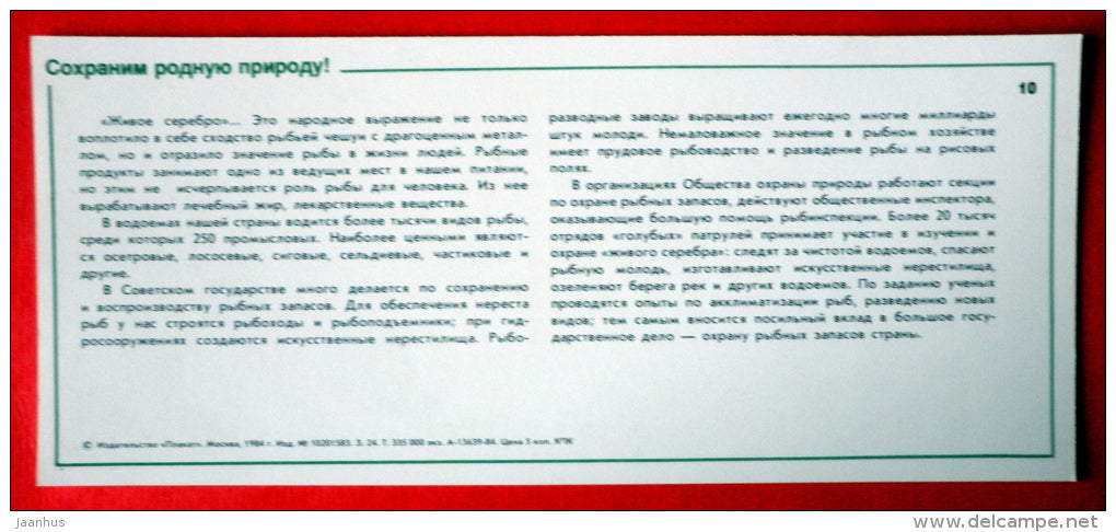protection of fish stocks - Nature Conservation - 1984 - USSR Russia - unused - JH Postcards