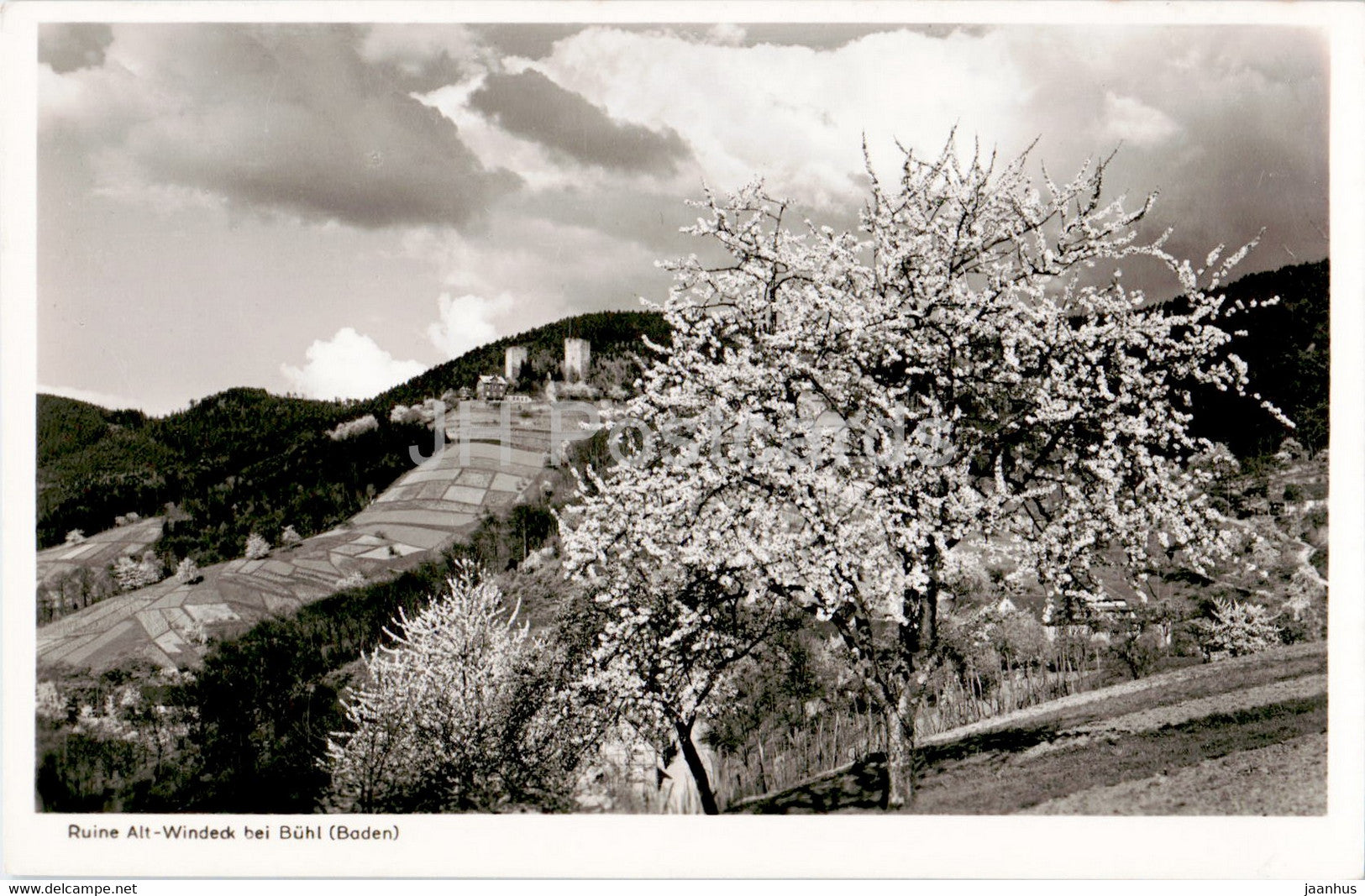 Ruine Alt Windeck bei Buhl - old postcard - Germany - unused - JH Postcards