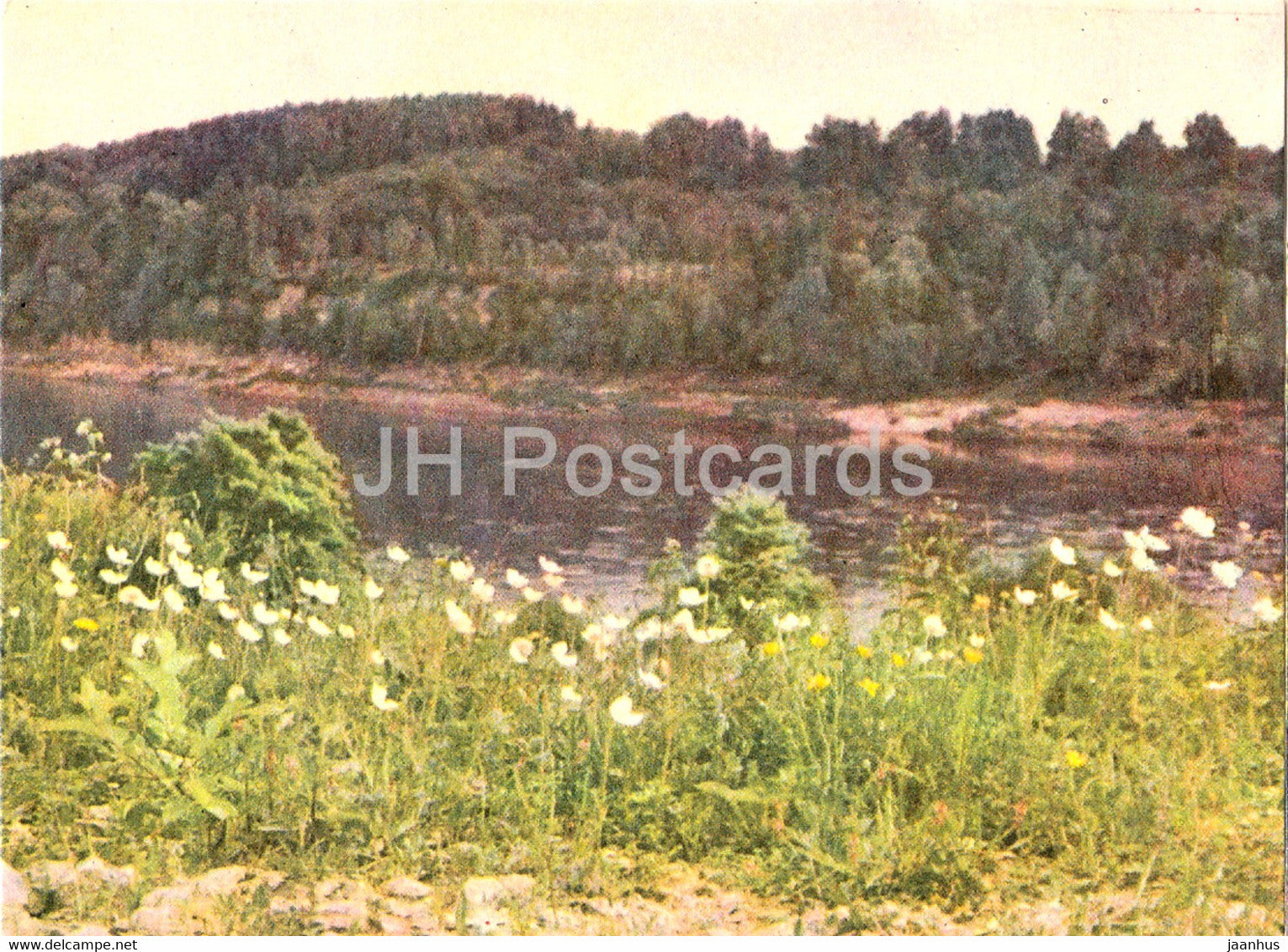 The Daugava river - Latvia USSR - unused - JH Postcards