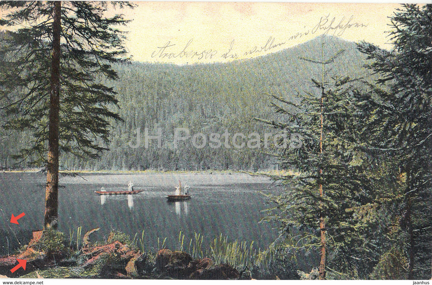 Bayer Wald - Arbersee mit Kuppe - old postcard - 1902 - Germany - used - JH Postcards