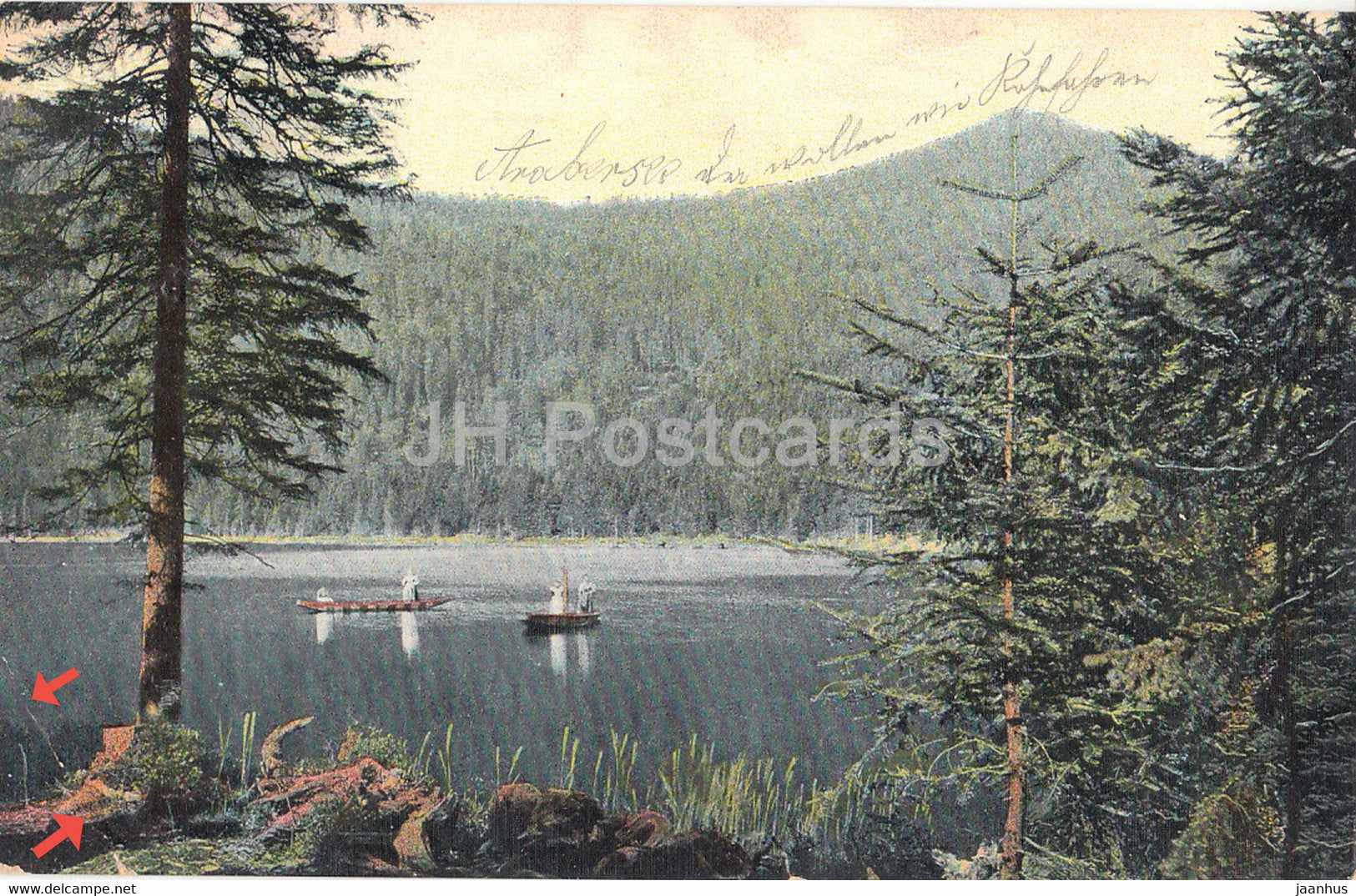 Bayer Wald - Arbersee mit Kuppe - old postcard - 1902 - Germany - used - JH Postcards