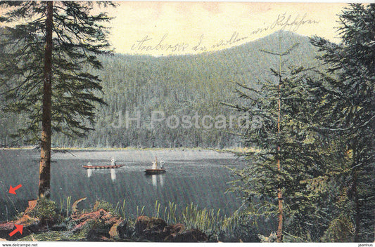 Bayer Wald - Arbersee mit Kuppe - old postcard - 1902 - Germany - used - JH Postcards