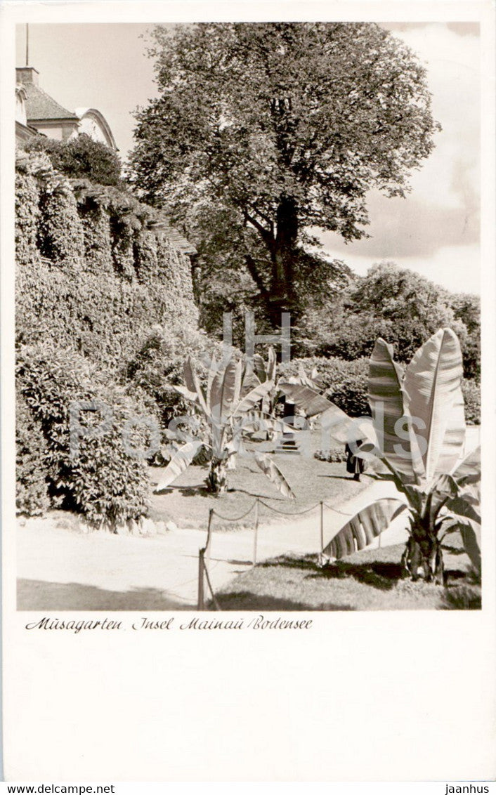Musagarten - Insel Mainau - Bodensee - old postcard - Germany - used - JH Postcards