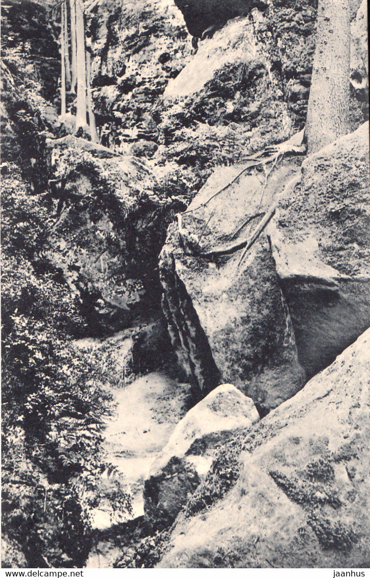 In den Teufelsschluchten b Wehlen - Sachs. Schweiz - old postcard - Germany - unused - JH Postcards