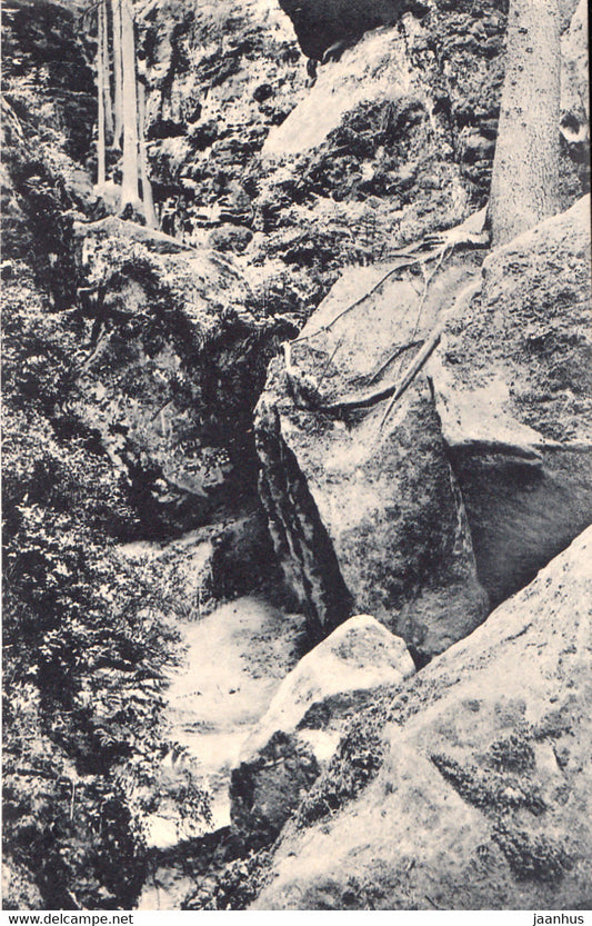 In den Teufelsschluchten b Wehlen - Sachs. Schweiz - old postcard - Germany - unused - JH Postcards