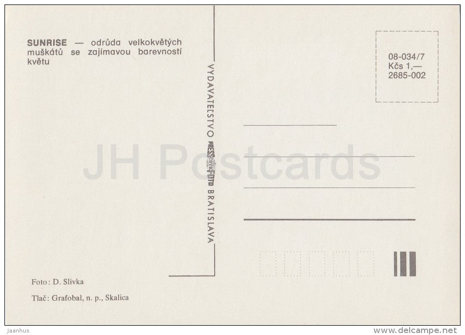 Sunrise - flowers - Geranium - 1985 - Czech - Czechoslovakia - unused - JH Postcards