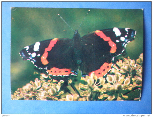 The Red Admiral - Vanessa atalanta - butterfly - insects - 1980 - Russia USSR - unused - JH Postcards