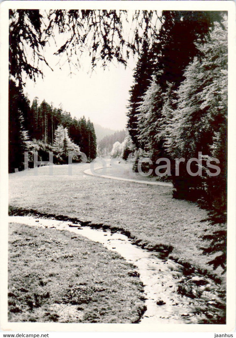 Luftkurort Tambach Dietharz im Thuringer Wald - Apfelstadtgrund - old postcard - 1969 - Germany DDR - used - JH Postcards