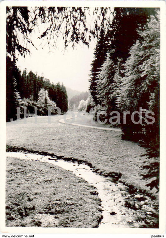 Luftkurort Tambach Dietharz im Thuringer Wald - Apfelstadtgrund - old postcard - 1969 - Germany DDR - used - JH Postcards