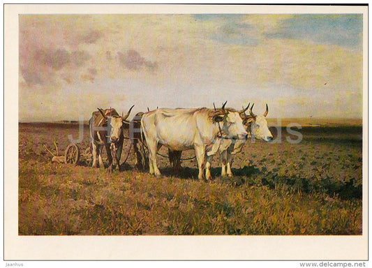 painting by S. Svetoslavsky - Oxen in the Field , 1891 - Ukrainian art - 1981 - Russia USSR - unused - JH Postcards