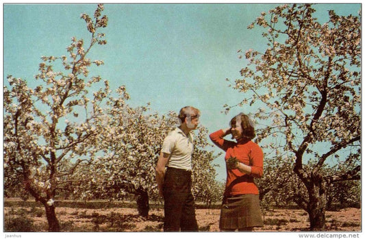 spring in the Skreblovo sovkhoz - Luzhsky district - 1972 - Russia USSR - unused - JH Postcards