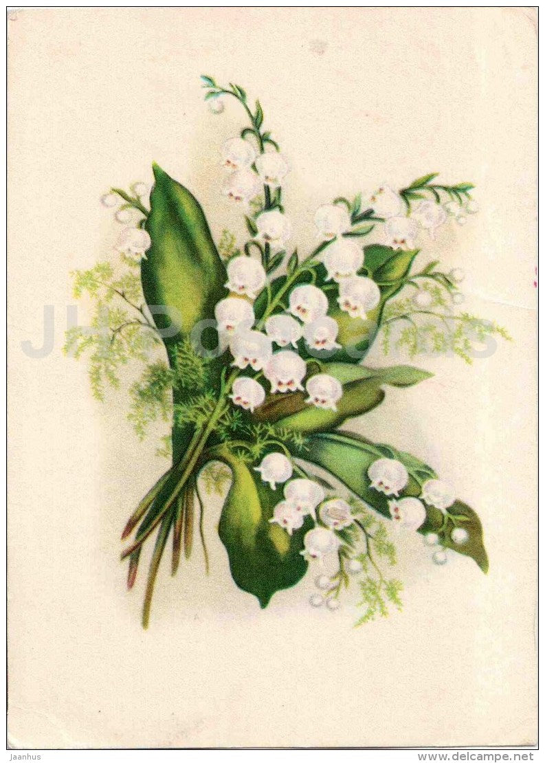 lily-of-the-valley - illustration - flowers - 1973 - Russia USSR - used - JH Postcards