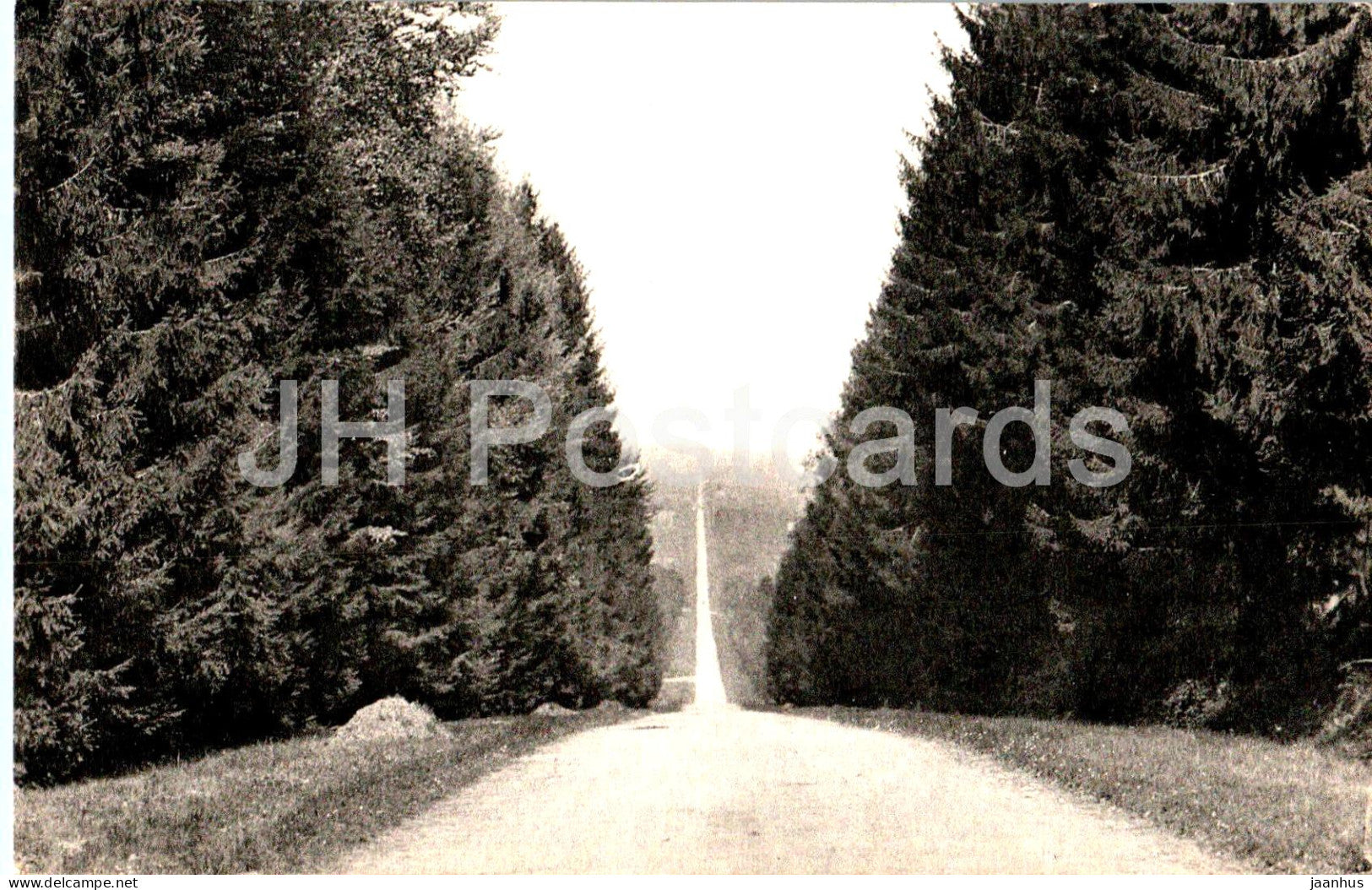 Environs de Belleme - Foret de Belleme - 213 - old postcard - 1963 - France - used - JH Postcards