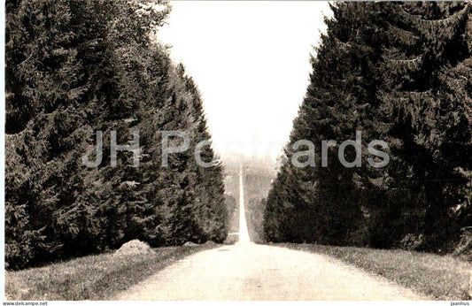 Environs de Belleme - Foret de Belleme - 213 - old postcard - 1963 - France - used - JH Postcards