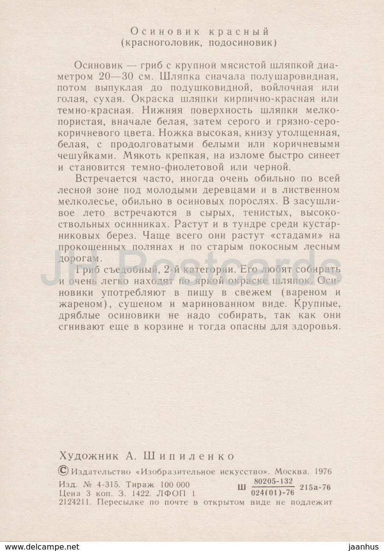 Red-capped Scaber Stalk - Leccinum aurantiacum - illustration by A. Shipilenko - Mushrooms - 1976 - Russia USSR - unused - JH Postcards