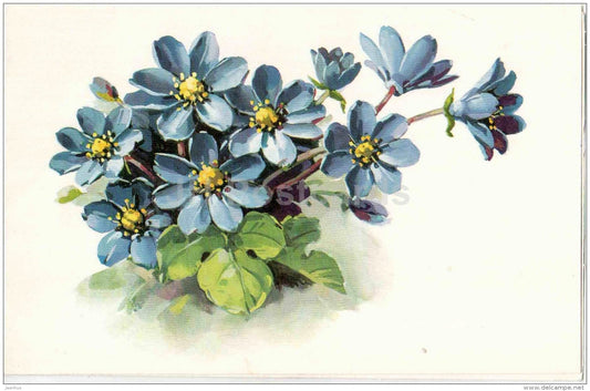 Birthday greeting card by - illustration - flowers - blue flowers - 1982 - Russia USSR - used - JH Postcards