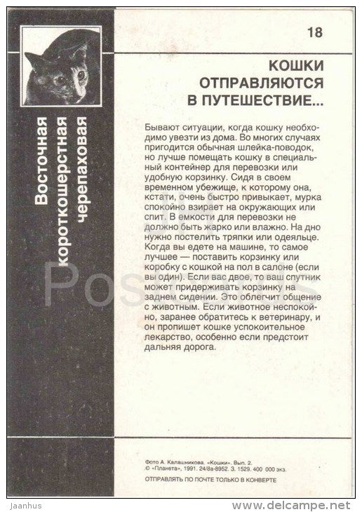 Oriental Shorthair - Tortoiseshell - Cat - 1991 - Russia USSR - unused - JH Postcards