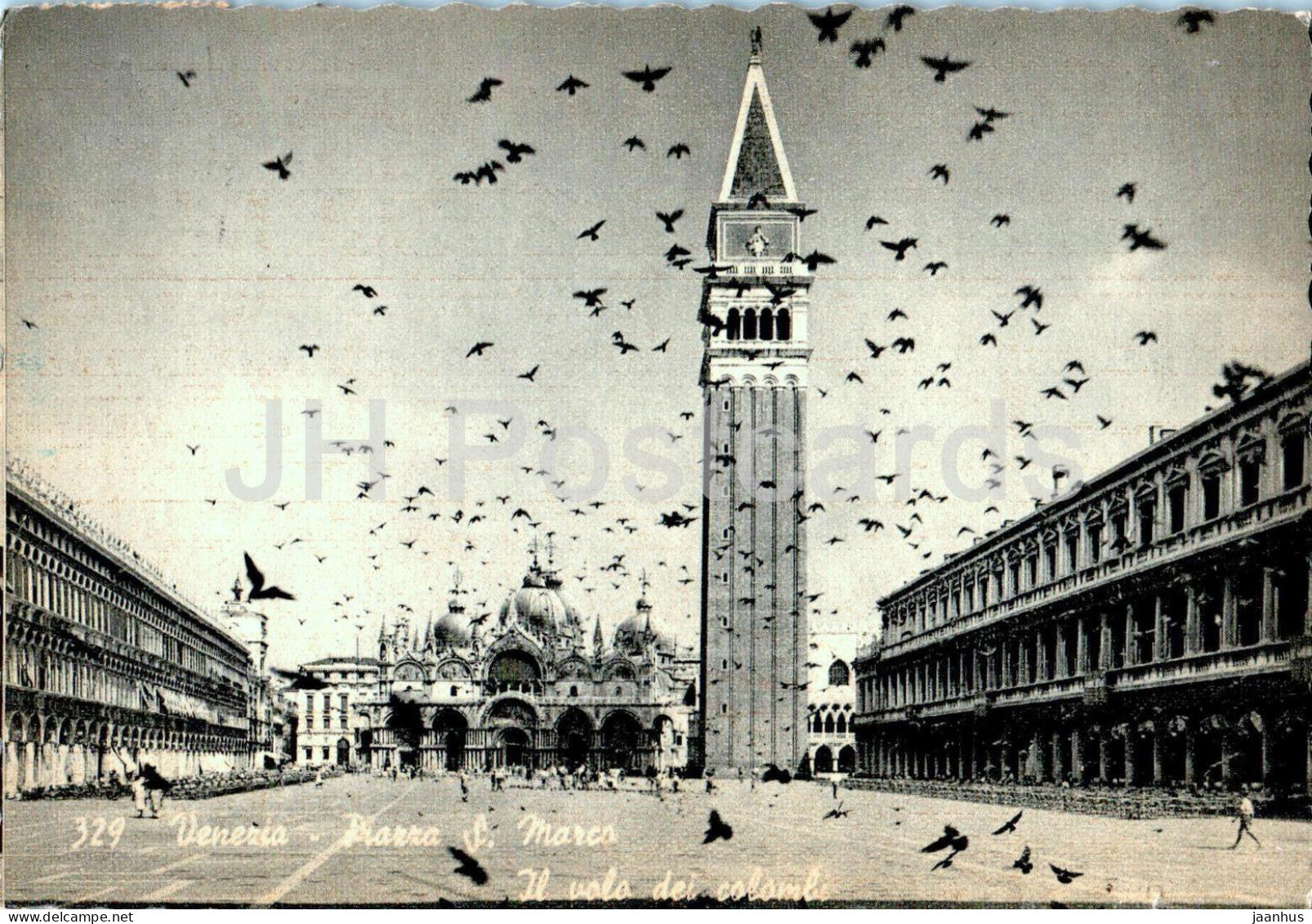 Venezia - Venice - Piazza S Marco - Il volo del colombi - St Mark Square - 329 - old postcard - 1955 - Italy - used - JH Postcards