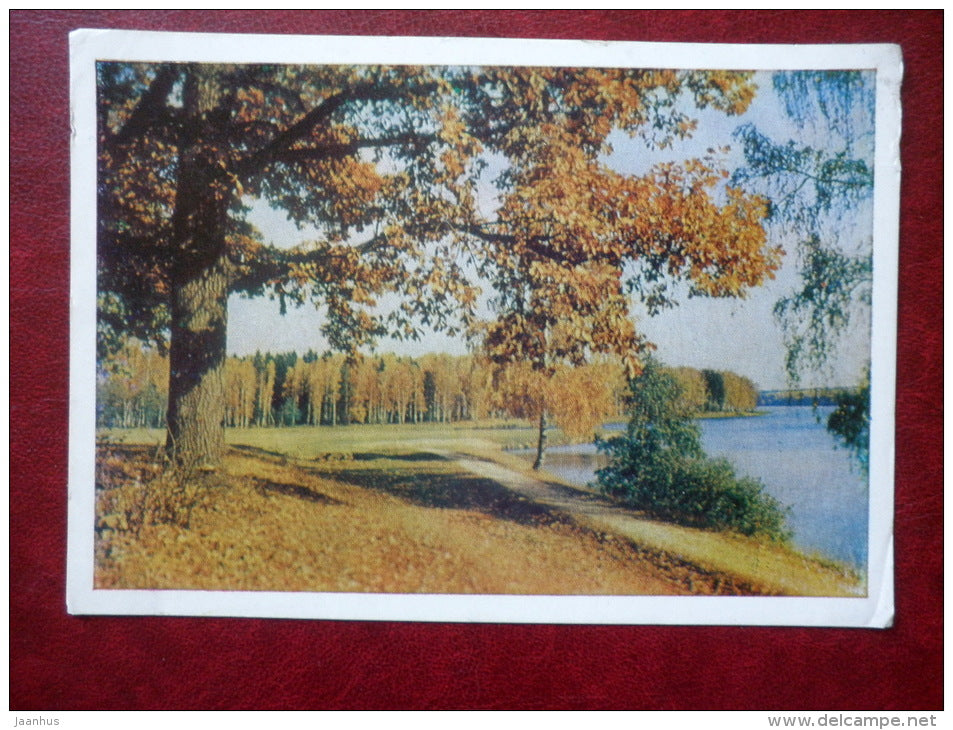 Podmoskovye - Moscow Oblast - autumn view - 1965 - Russia USSR - used - JH Postcards