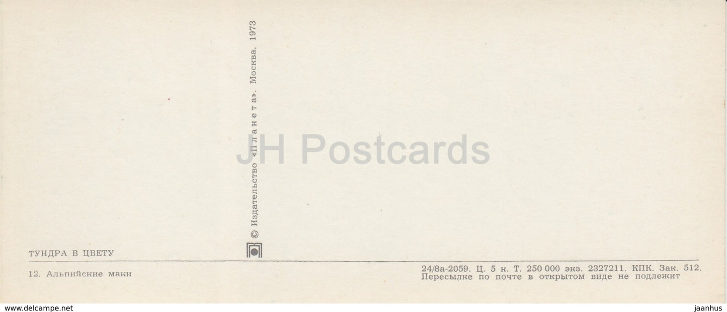 Papaver alpinum - plantes - bateau - Toundra en fleur - 1973 - Russie URSS - inutilisé