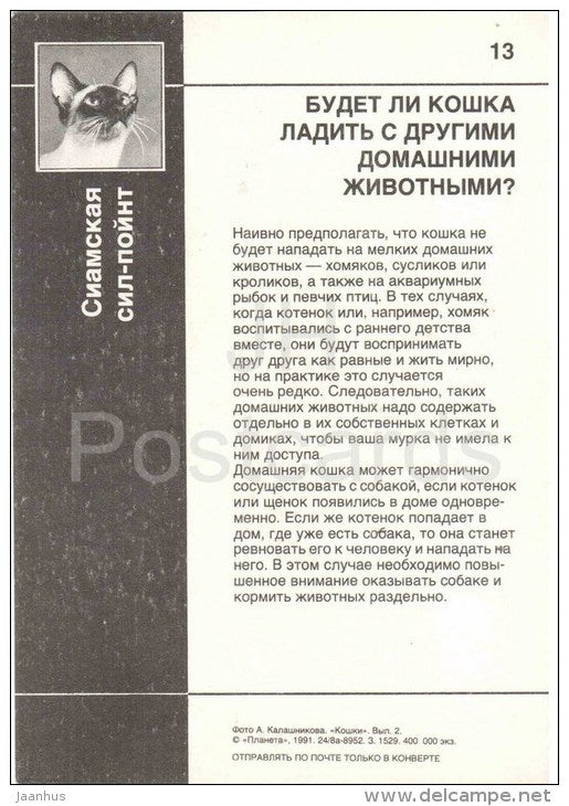 Seal Point Siamese Cat - Cat - 1991 - Russia USSR - unused - JH Postcards