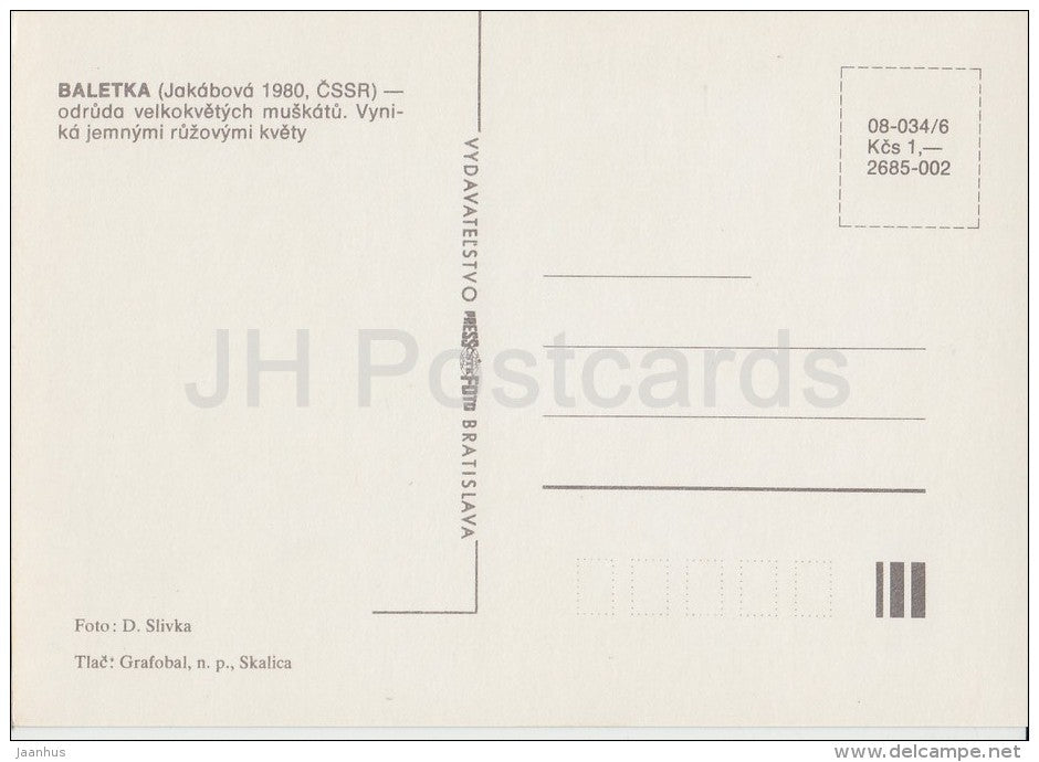 Baletka - flowers - Geranium - 1985 - Czech - Czechoslovakia - unused - JH Postcards