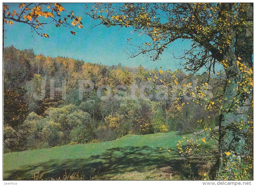 autumn landscape - 1982 - Russia USSR - unused - JH Postcards