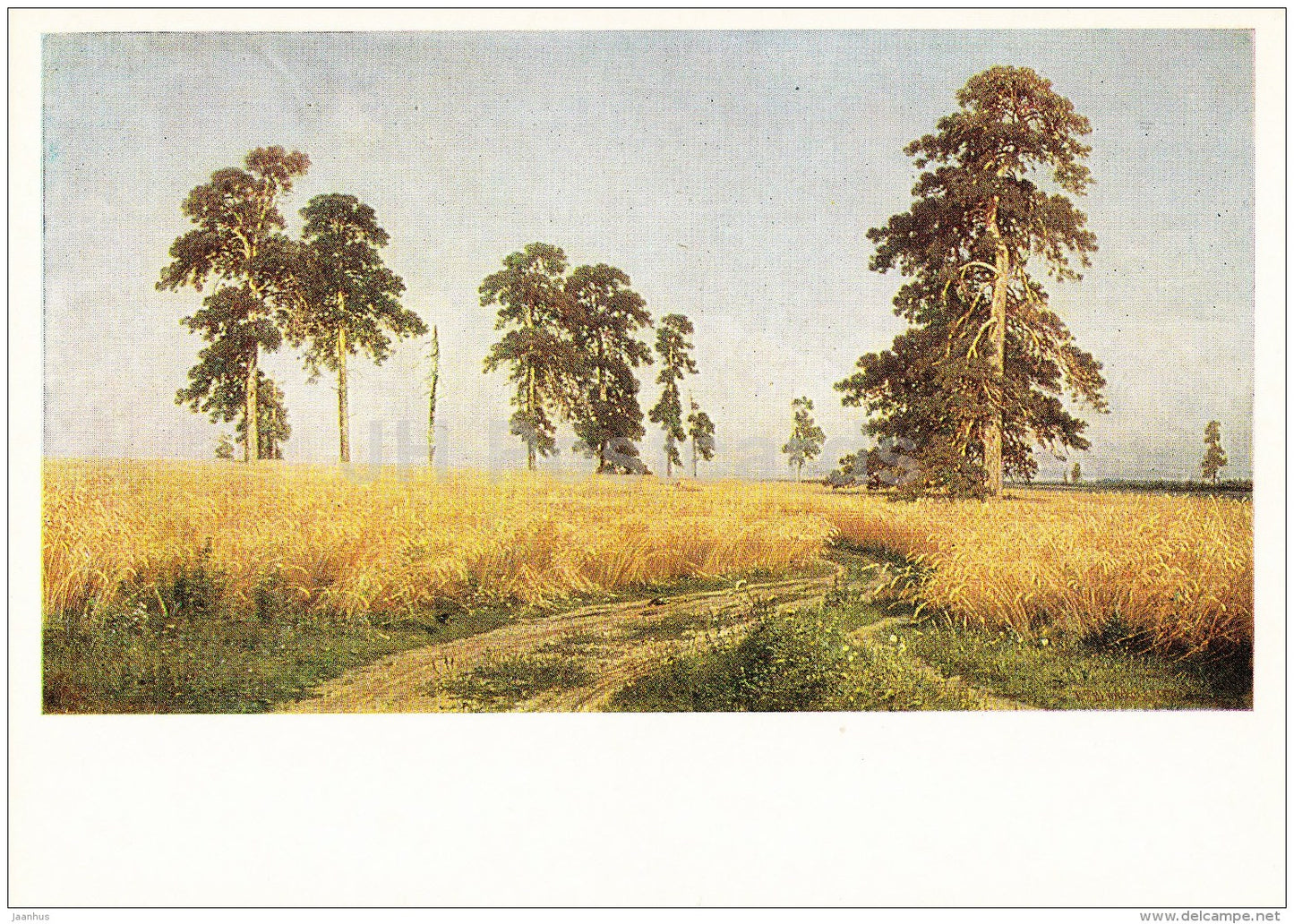 painting by I. Shishkin - Rye , 1878 - corn field - Russian art - 1978 - Russia USSR - unused - JH Postcards