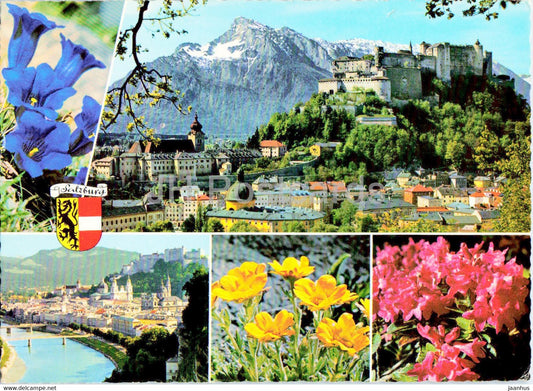 Alpenblumengrusse aus Salzburg - 1972 - Austria - used - JH Postcards