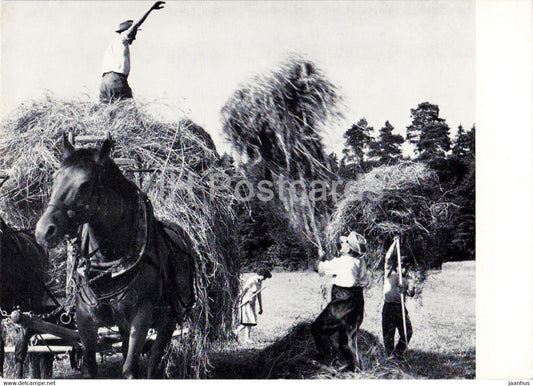 Haymaking - horse - hay making - 1992 - Switzerland - used - JH Postcards