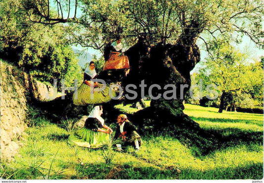 Valldemosa - Mallorca - Typical Costumes and Millenary olive tree - folk costumes - 1283 - Spain - used - JH Postcards