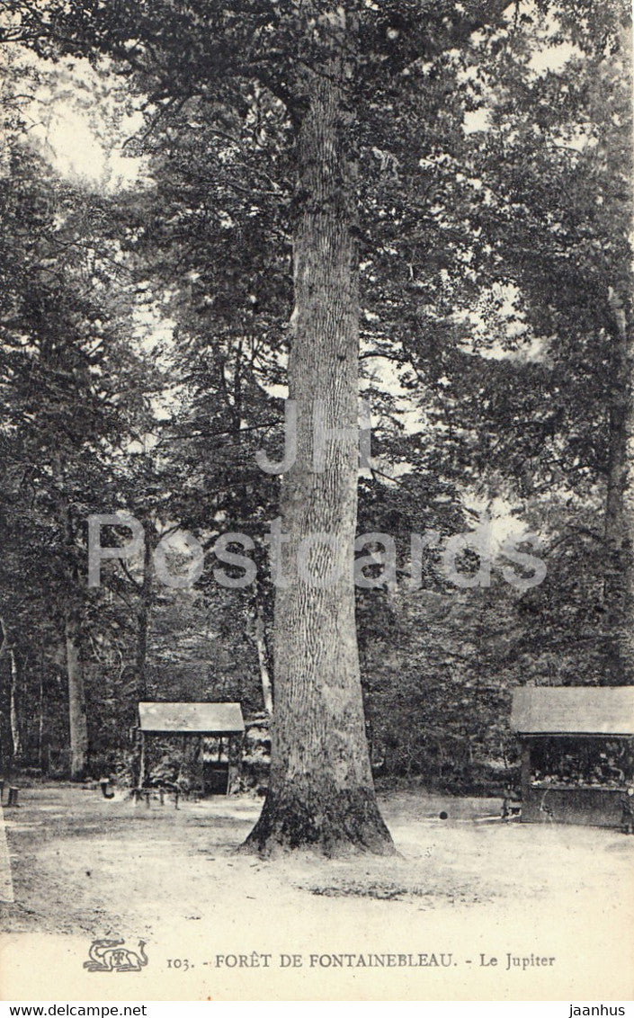 Foret de Fontainebleau - Le Jupiter - 103 - old postcard - France - unused - JH Postcards