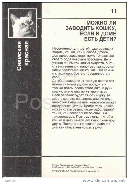 Siamese Red Cat - Cat - 1991 - Russia USSR - unused - JH Postcards