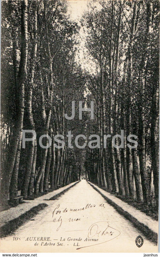 Auxerre - La Grande Avenue de l'Arbre Sec - 108 - old postcard - France - used - JH Postcards