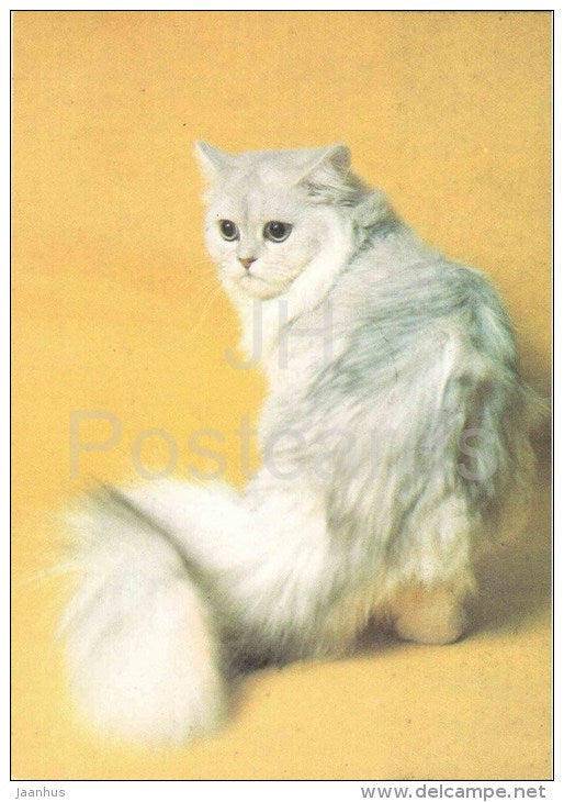 Chinchilla Persian Cat - Cat - 1991 - Russia USSR - unused - JH Postcards