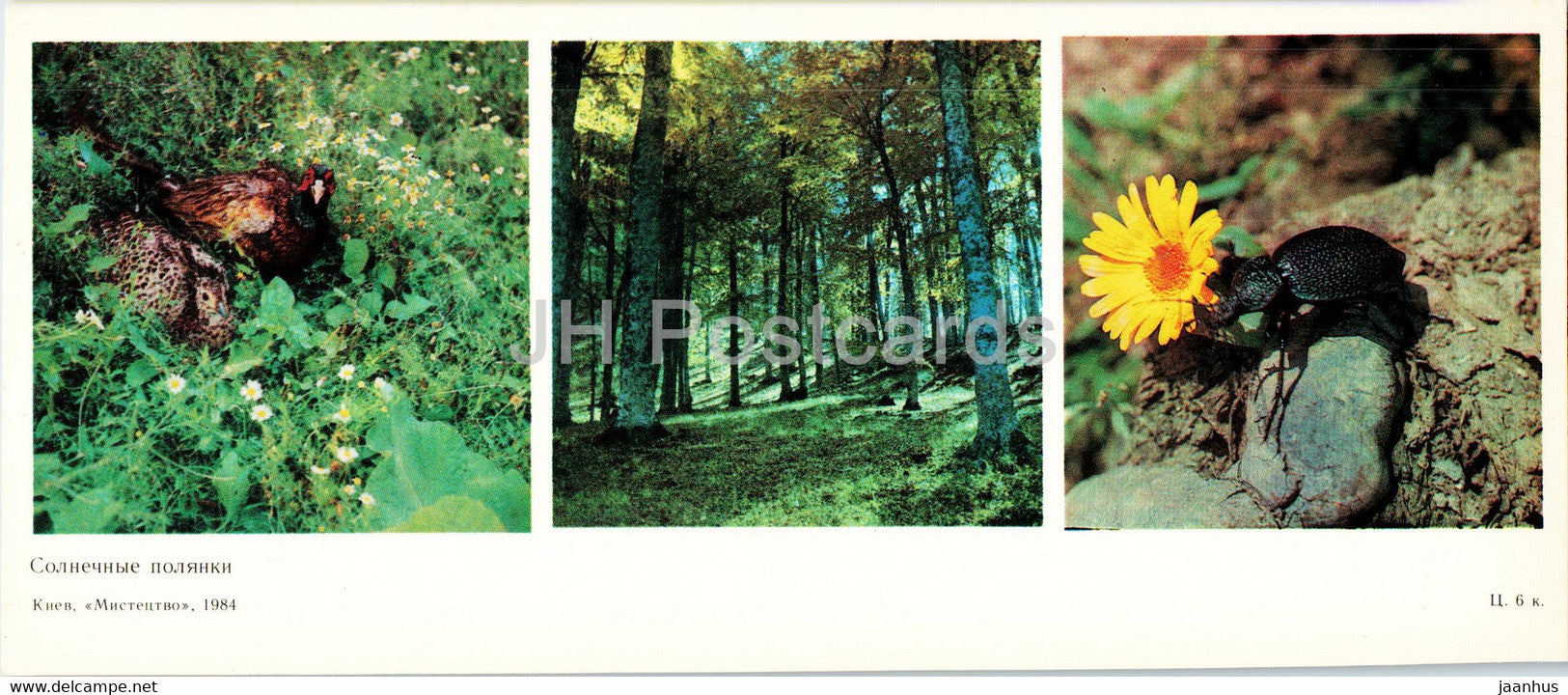 sunny meadows - insects - birds - protected places of Crimea - 1984 - Ukraine USSR - unused - JH Postcards
