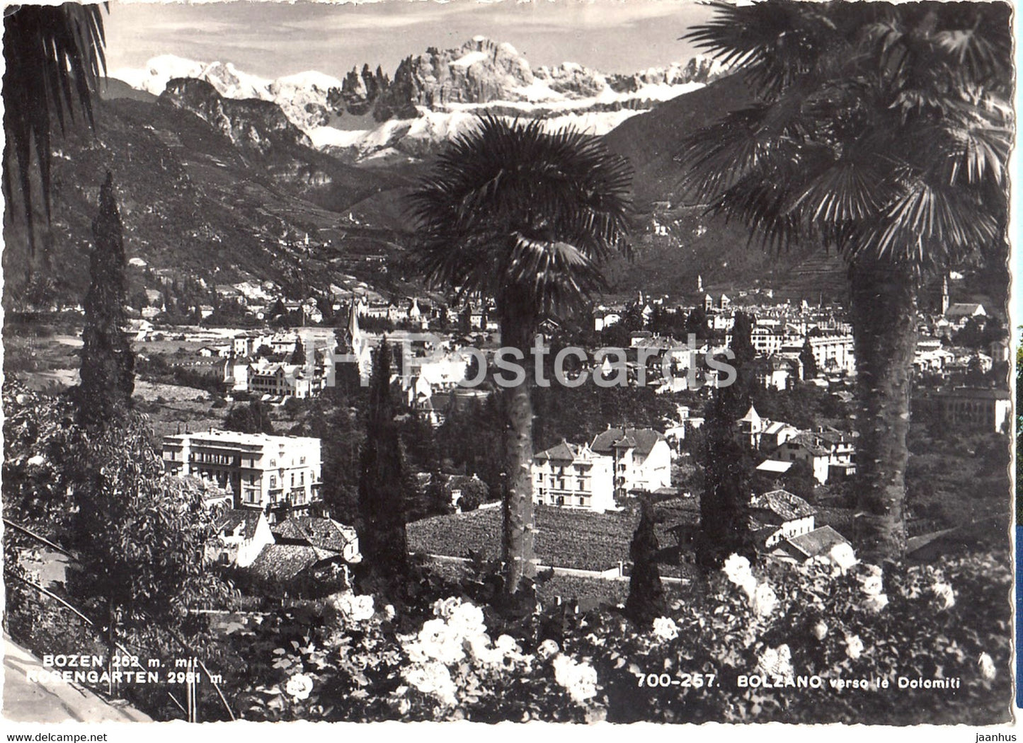 Bozen - Rosengarten - Bolzano verso le Dolomiti - old postcard - 1954 - Italy - used - JH Postcards