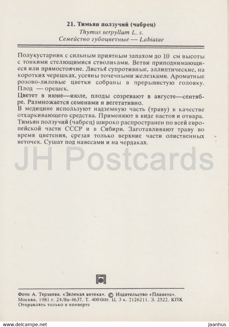 Breckland thyme - Breckland thyme - Medicinal Plants - 1981 - Russia USSR - unused