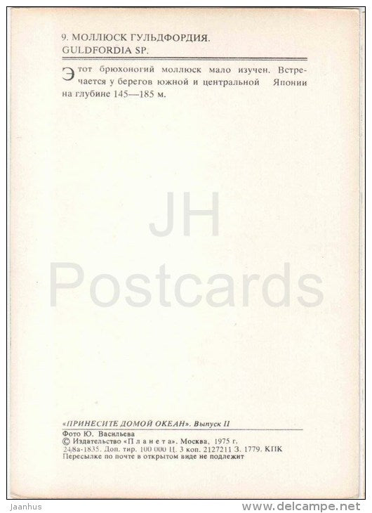 Guldfordia sp - mollusk - 1975 - Russia USSR - unused - JH Postcards