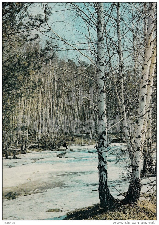 spring in the forest - 1981 - Russia USSR - unused - JH Postcards