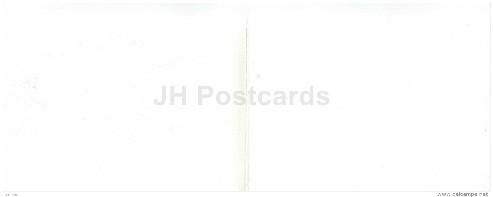 Birthday greeting card by A. Kurtenko - flowers - illustration - narcissus - daffodil - 1983 - Russia USSR - unused - JH Postcards