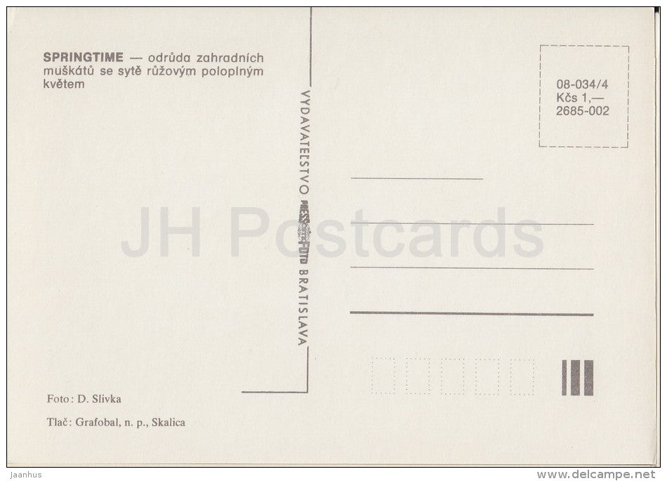 Springtime - flowers - Geranium - 1985 - Czech - Czechoslovakia - unused - JH Postcards