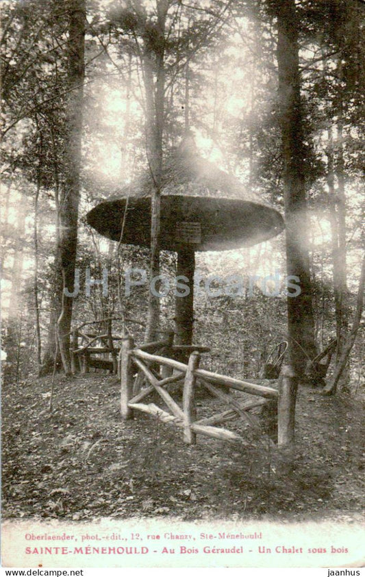 Sainte Menehould - Au Bois Geraudel - Un Chalet sous bois - A chalet in the woods - old postcard - France - used - JH Postcards