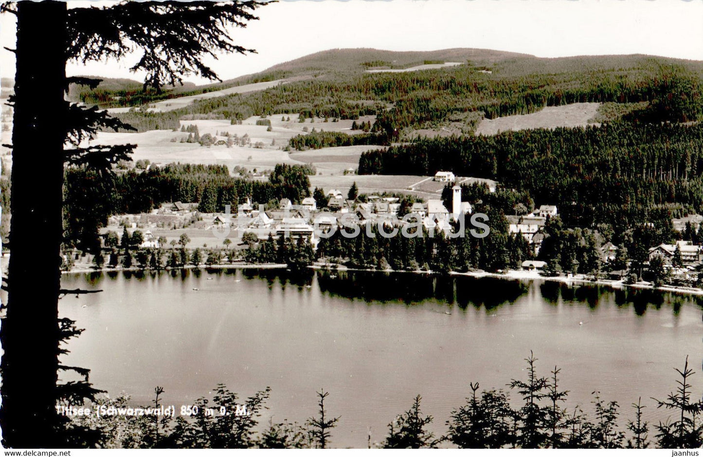 Titisee - Schwarzwald 850 m - old postcard - 1958 - Germany - unused - JH Postcards