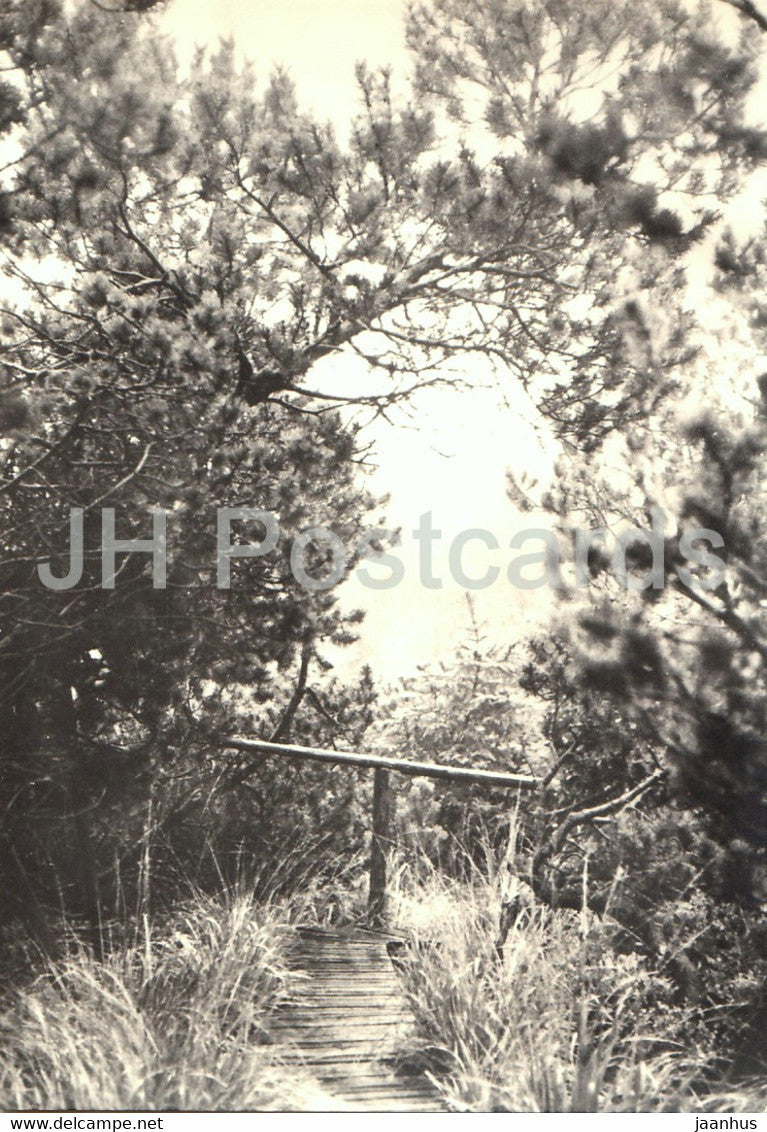 Naturschutzgebiet Georgenfelder Hochmoor - 1 - Germany DDR - unused - JH Postcards