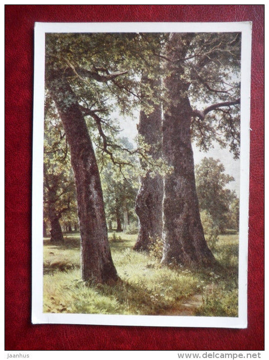 painting by I. Shishkin , Oak-trees , 1887 - russian art - unused - JH Postcards